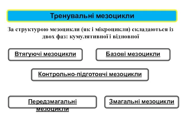 Тренувальні мезоцикли За структурою мезоцикли (як і мікроцикли) складаються із