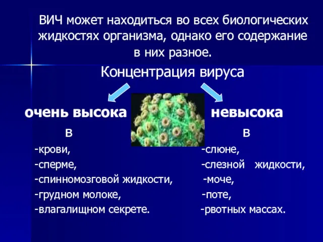 ВИЧ может находиться во всех биологических жидкостях организма, однако его содержание в них