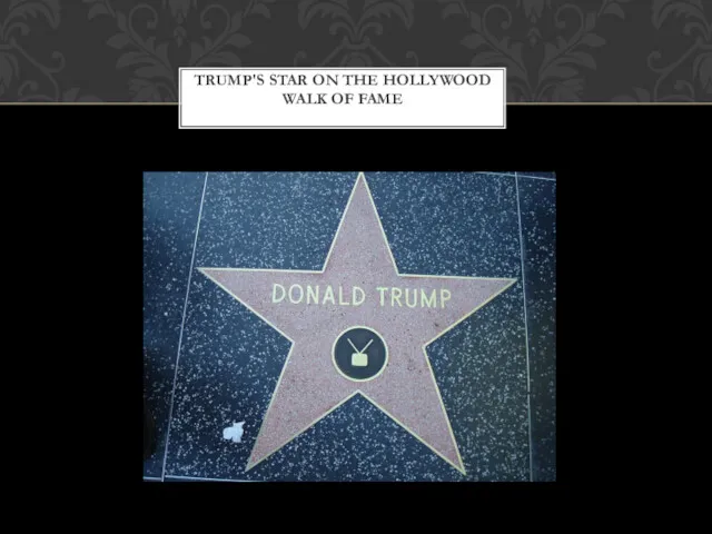 TRUMP'S STAR ON THE HOLLYWOOD WALK OF FAME