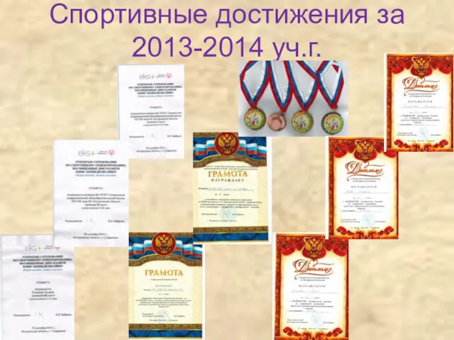 Спортивные достижения за 2013-2014 уч.г.