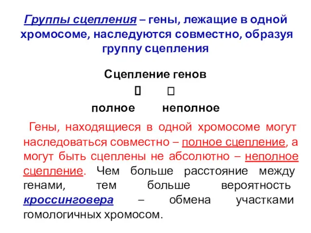 Группы сцепления – гены, лежащие в одной хромосоме, наследуются совместно, образуя группу сцепления