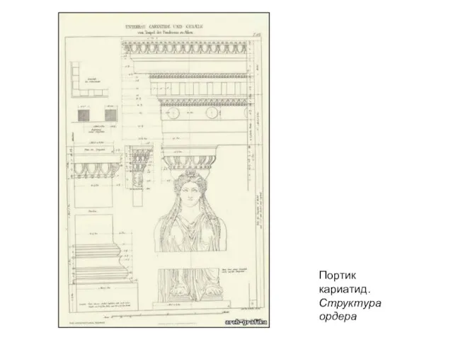 Портик кариатид. Структура ордера