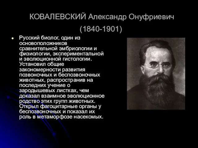 КОВАЛЕВСКИЙ Александр Онуфриевич (1840-1901) Русский биолог, один из основоположников сравнительной эмбриологии и физиологии,