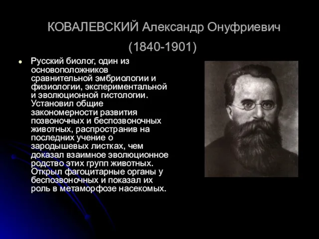 КОВАЛЕВСКИЙ Александр Онуфриевич (1840-1901) Русский биолог, один из основоположников сравнительной