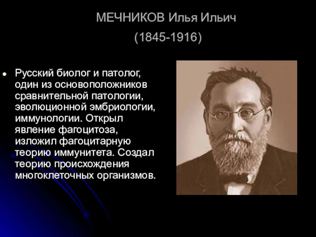 МЕЧНИКОВ Илья Ильич (1845-1916) Русский биолог и патолог, один из основоположников сравнительной патологии,
