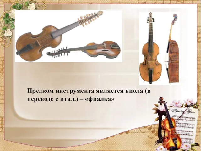 Предком инструмента является виола (в переводе с итал.) – «фиалка»