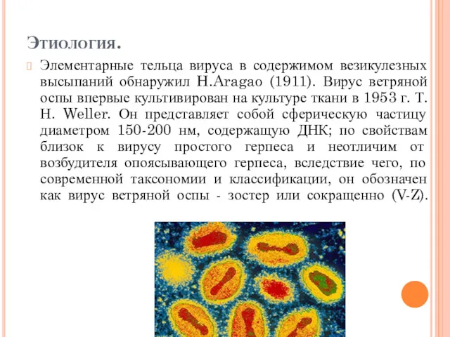 Этиология. Элементарные тельца вируса в содержимом везикулезных высыпаний обнаружил H.Aragao