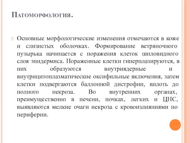 Патоморфология. Основные морфологические изменения отмечаются в коже и слизистых оболочках.