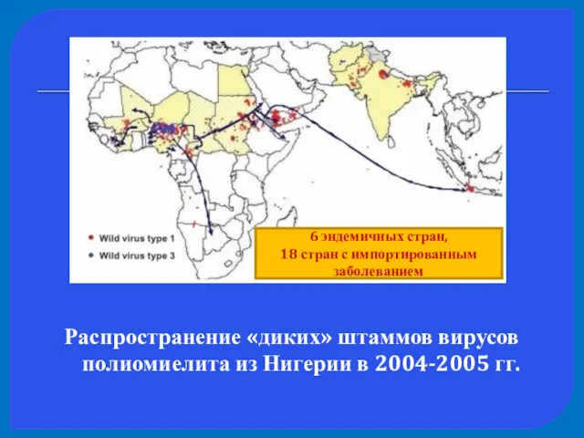 Распространение «диких» штаммов вирусов полиомиелита из Нигерии в 2004-2005 гг.