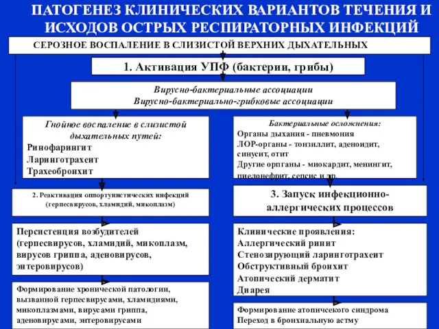 ПАТОГЕНЕЗ КЛИНИЧЕСКИХ ВАРИАНТОВ ТЕЧЕНИЯ И ИСХОДОВ ОСТРЫХ РЕСПИРАТОРНЫХ ИНФЕКЦИЙ СЕРОЗНОЕ