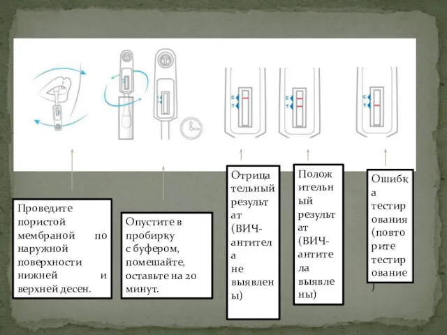 Проведите пористой мембраной по наружной поверхности нижней и верхней десен. Опустите в пробирку