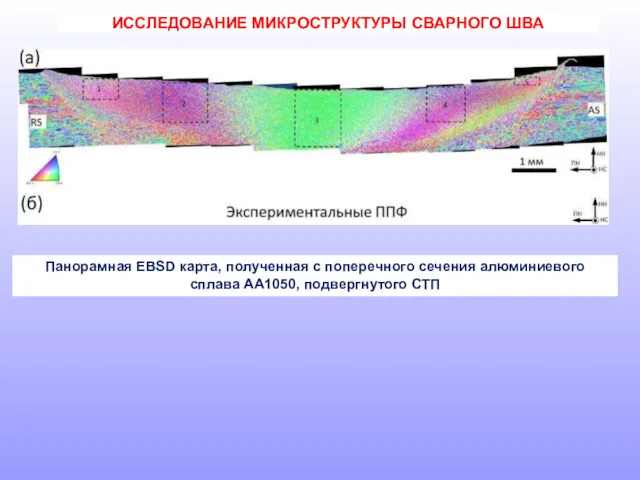 Панорамная EBSD карта, полученная с поперечного сечения алюминиевого сплава АА1050, подвергнутого СТП ИССЛЕДОВАНИЕ МИКРОСТРУКТУРЫ СВАРНОГО ШВА