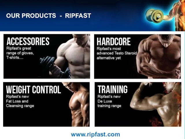 OUR PRODUCTS - RIPFAST