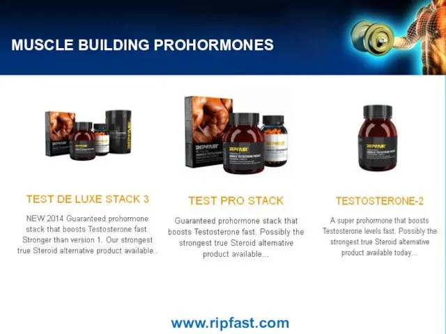 MUSCLE BUILDING PROHORMONES