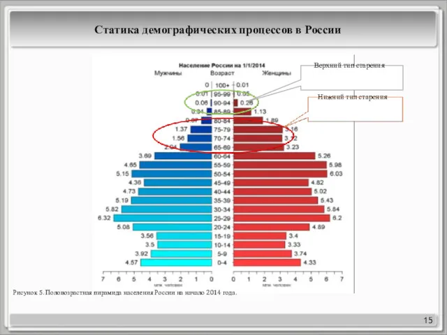 15 Рисунок 5. Половозрастная пирамида населения России на начало 2014