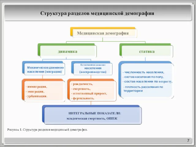 7 Медицинская демография динамика Механическое движение населения (миграция) - иммиграция,