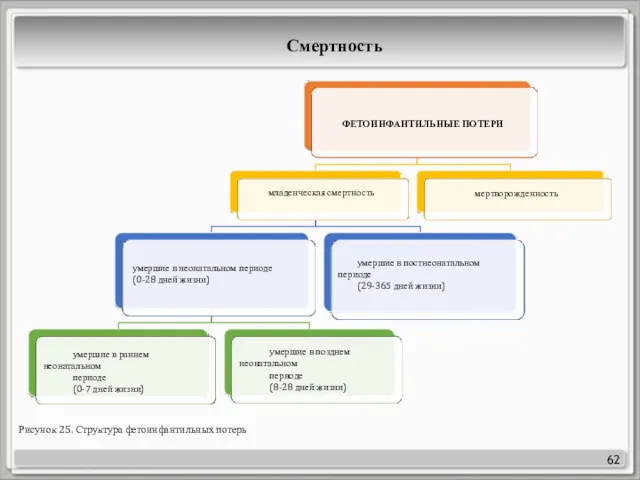 62 ФЕТОИНФАНТИЛЬНЫЕ ПОТЕРИ младенческая смертность умершие в неонатальном периоде (0-28