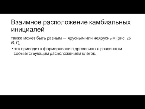 Взаимное расположение камбиальных инициалей также может быть раз­ным — ярусным или неярусным (рис.