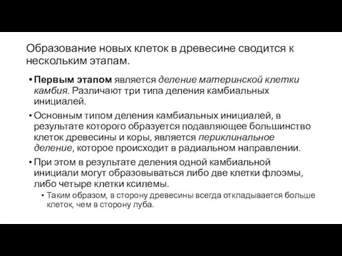 Образование новых клеток в древесине сводится к нескольким этапам. Первым этапом является деление