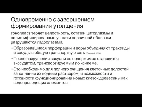 Одновременно с завершением формирования утолщения тонопласт теряет целостность, остатки цитоплазмы и нелигнифицированные участки