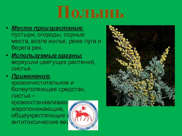 Полынь Место произрастания: пустыри, огороды, сорные места, возле жилья, реже