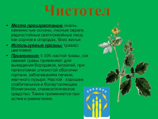 Чистотел Место произрастания: скалы, каменистые склоны, лесные овраги, редкостойные светлохвойные