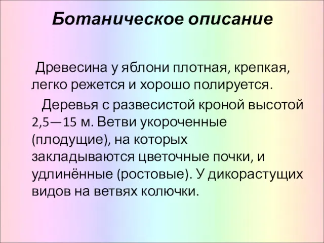 Ботаническое описание Древесина у яблони плотная, крепкая, легко режется и