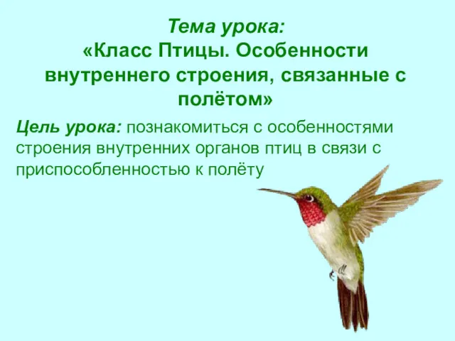 Тема урока: «Класс Птицы. Особенности внутреннего строения, связанные с полётом»