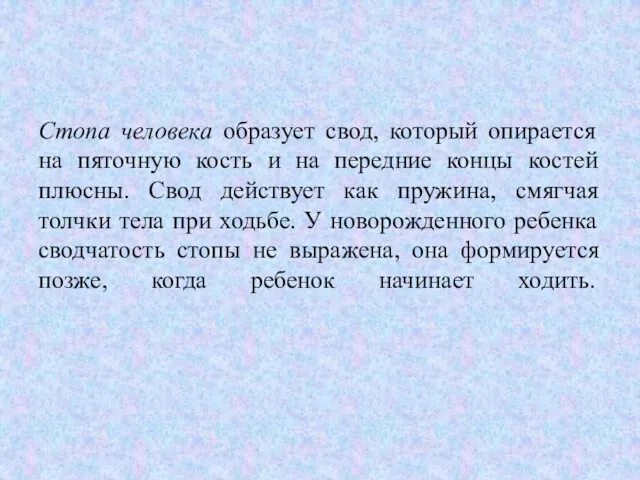 Стопа человека образует свод, который опирается на пяточную кость и