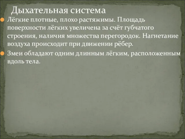 Лёгкие плотные, плохо растяжимы. Площадь поверхности лёгких увеличена за счёт