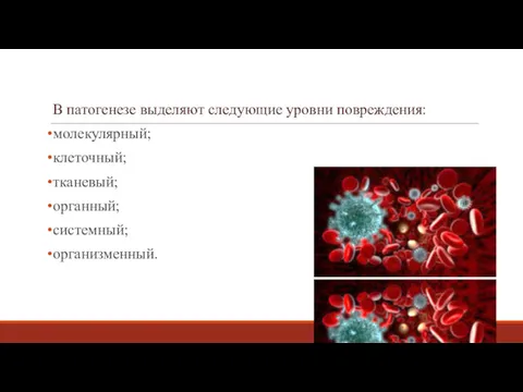 В патогенезе выделяют следующие уровни повреждения: молекулярный; клеточный; тканевый; органный; системный; организменный.