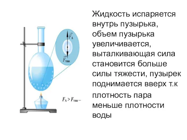 Жидкость испаряется внутрь пузырька, объем пузырька увеличивается, выталкивающая сила становится