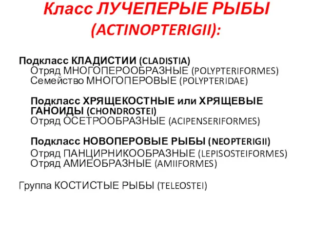 Класс ЛУЧЕПЕРЫЕ РЫБЫ (ACTINOPTERIGII): Подкласс КЛАДИСТИИ (CLADISTIA) Отряд МНОГОПЕРООБРАЗНЫЕ (POLYPTERIFORMES)