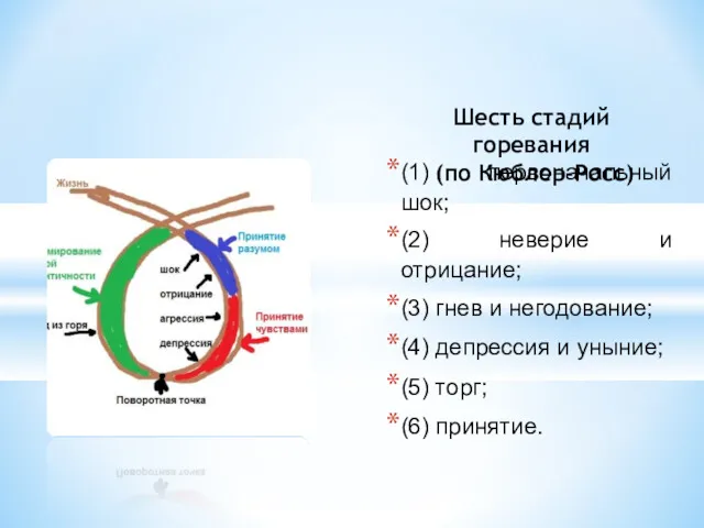 (1) первоначальный шок; (2) неверие и отрицание; (3) гнев и