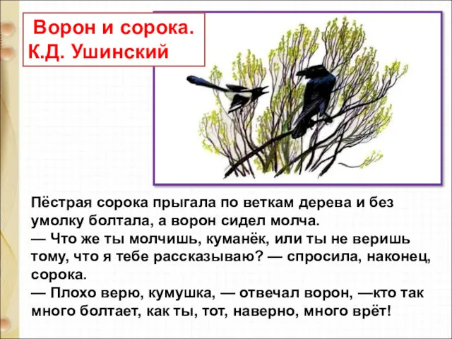 Пёстрая сорока прыгала по веткам дерева и без умолку болтала,