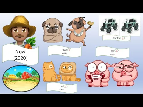 Now (2020) Dog dogs s pig pigs s tractor s сat cats s