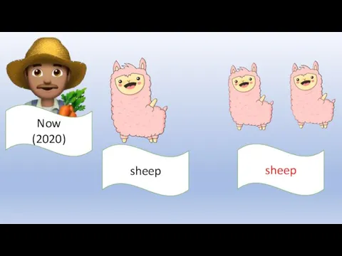 Now (2020) sheep sheep