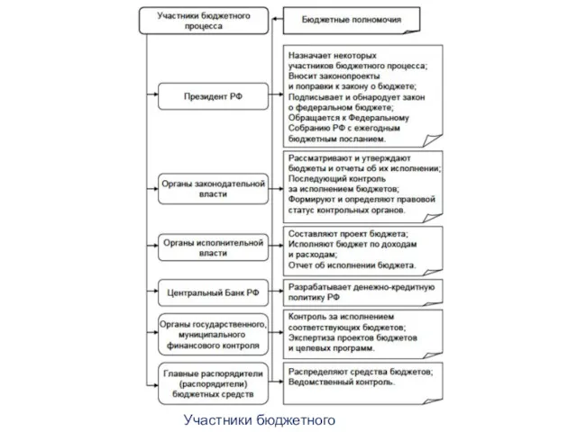 Участники бюджетного процесса