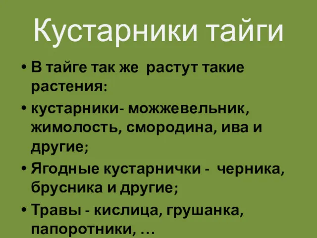 Кустарники тайги В тайге так же растут такие растения: кустарники-