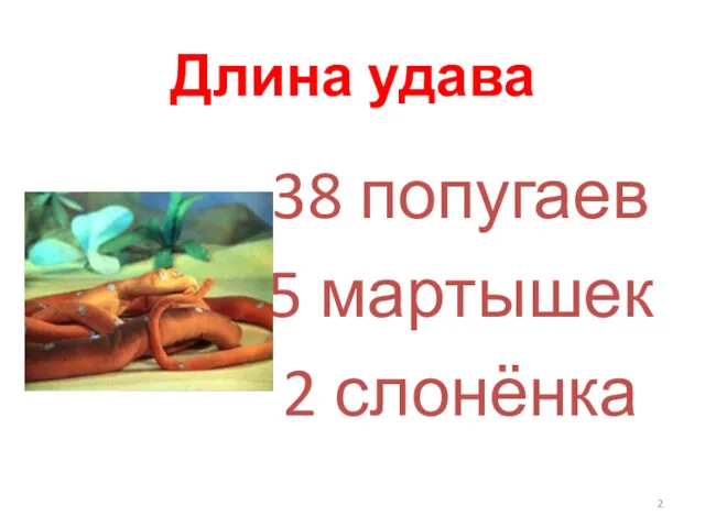 Длина удава 38 попугаев 5 мартышек 2 слонёнка