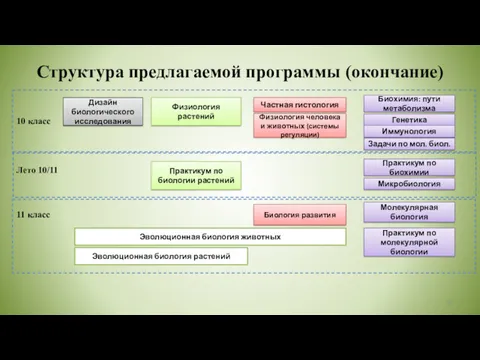 Структура предлагаемой программы (окончание) 10 класс Дизайн биологического исследования Физиология