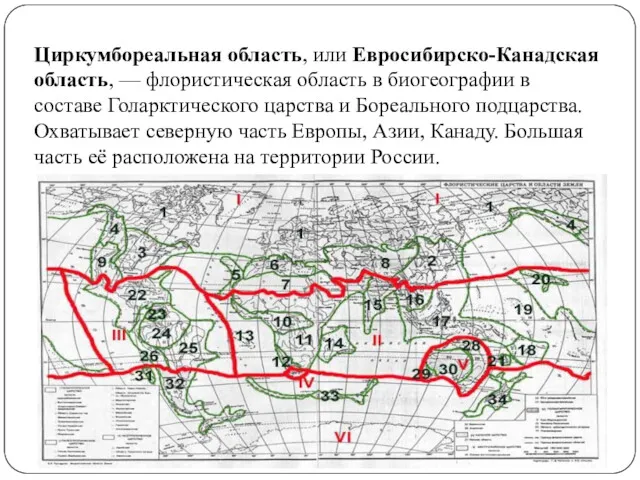 Циркумбореальная область, или Евросибирско-Канадская область, — флористическая область в биогеографии