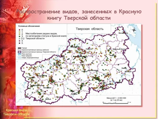 Распространение видов, занесенных в Красную книгу Тверской области