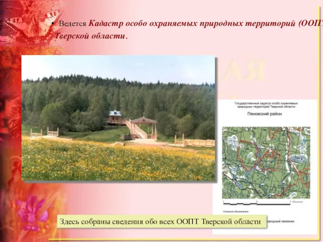 Ведется Кадастр особо охраняемых природных территорий (ООПТ) Тверской области. Здесь