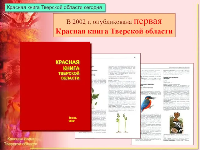В 2002 г. опубликована первая Красная книга Тверской области Красная книга Тверской области сегодня