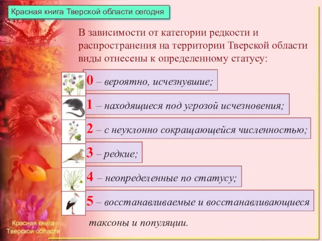 Красная книга Тверской области сегодня В зависимости от категории редкости