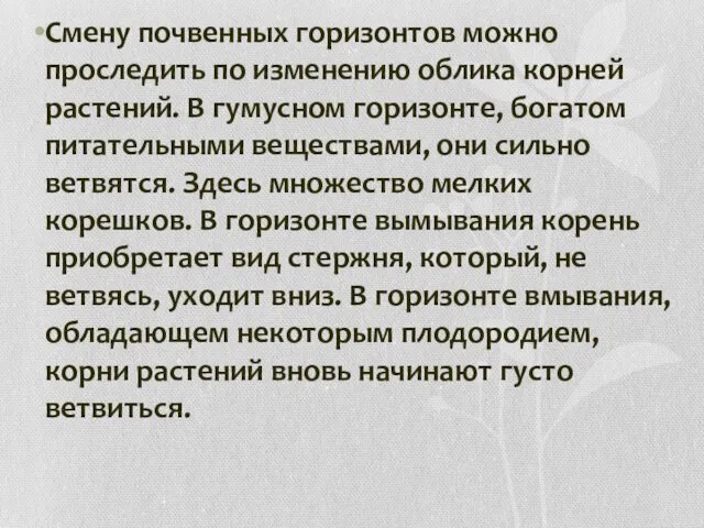 Смену почвенных горизонтов можно проследить по изменению облика корней растений.