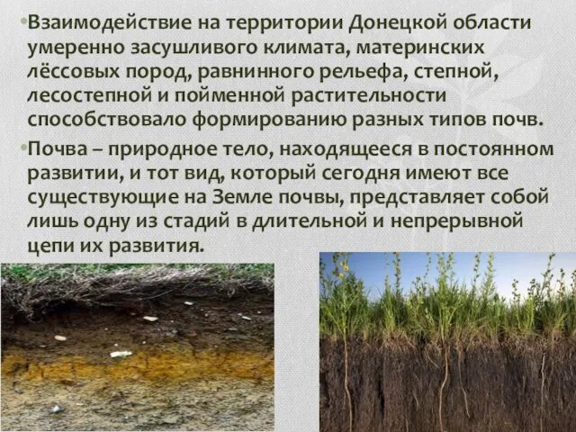 Взаимодействие на территории Донецкой области умеренно засушливого климата, материнских лёссовых