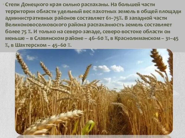 Степи Донецкого края сильно распаханы. На большей части территории области