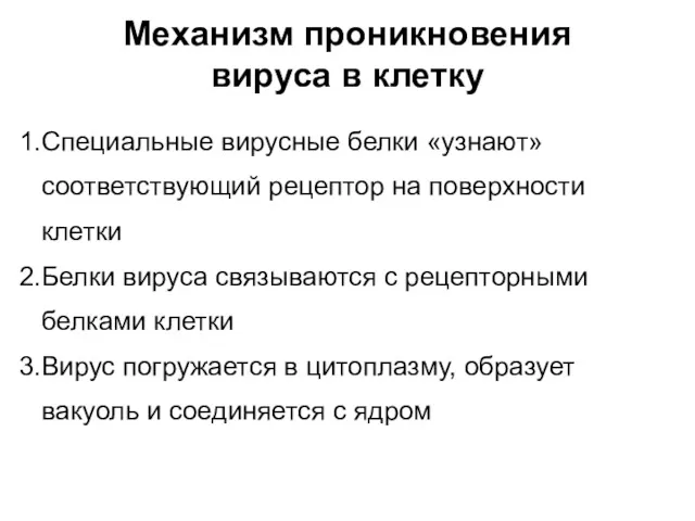 Механизм проникновения вируса в клетку Специальные вирусные белки «узнают» соответствующий